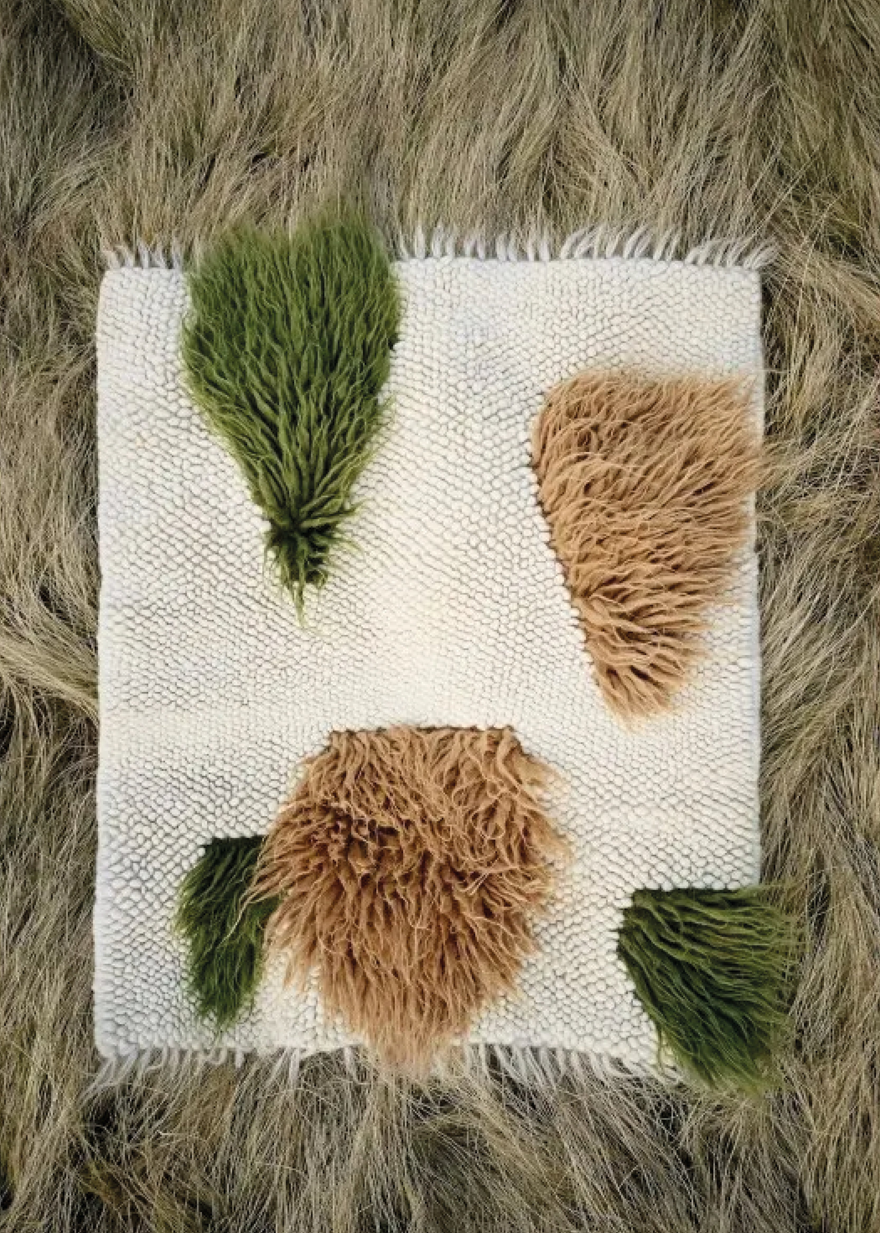 Carpet 1