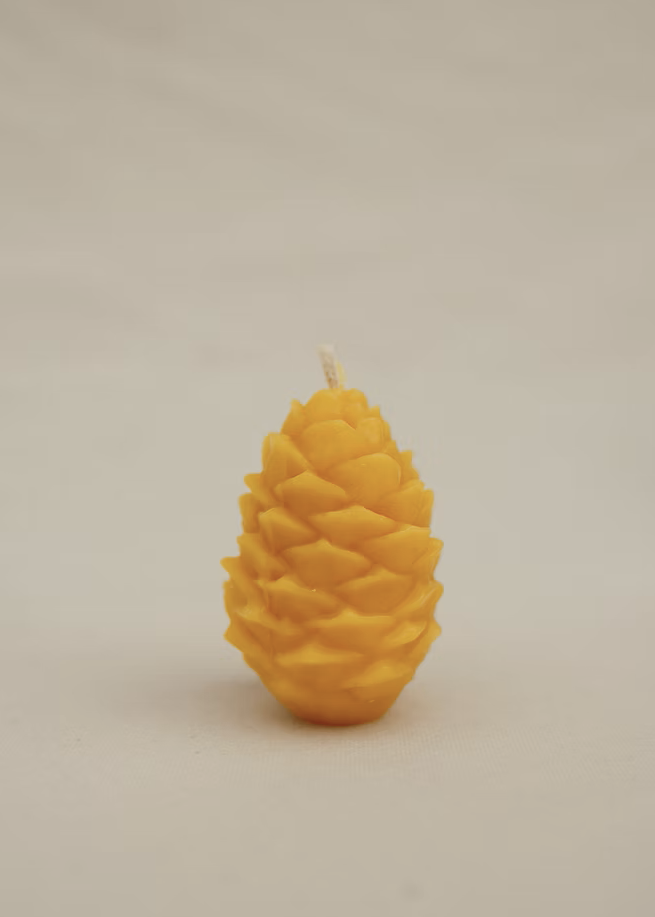 Pine cone Candle