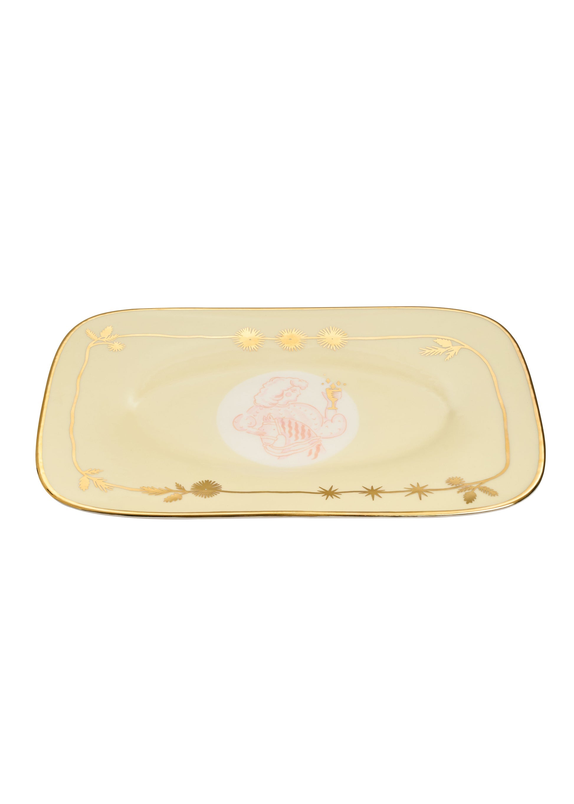 Pani Rectangular Plate