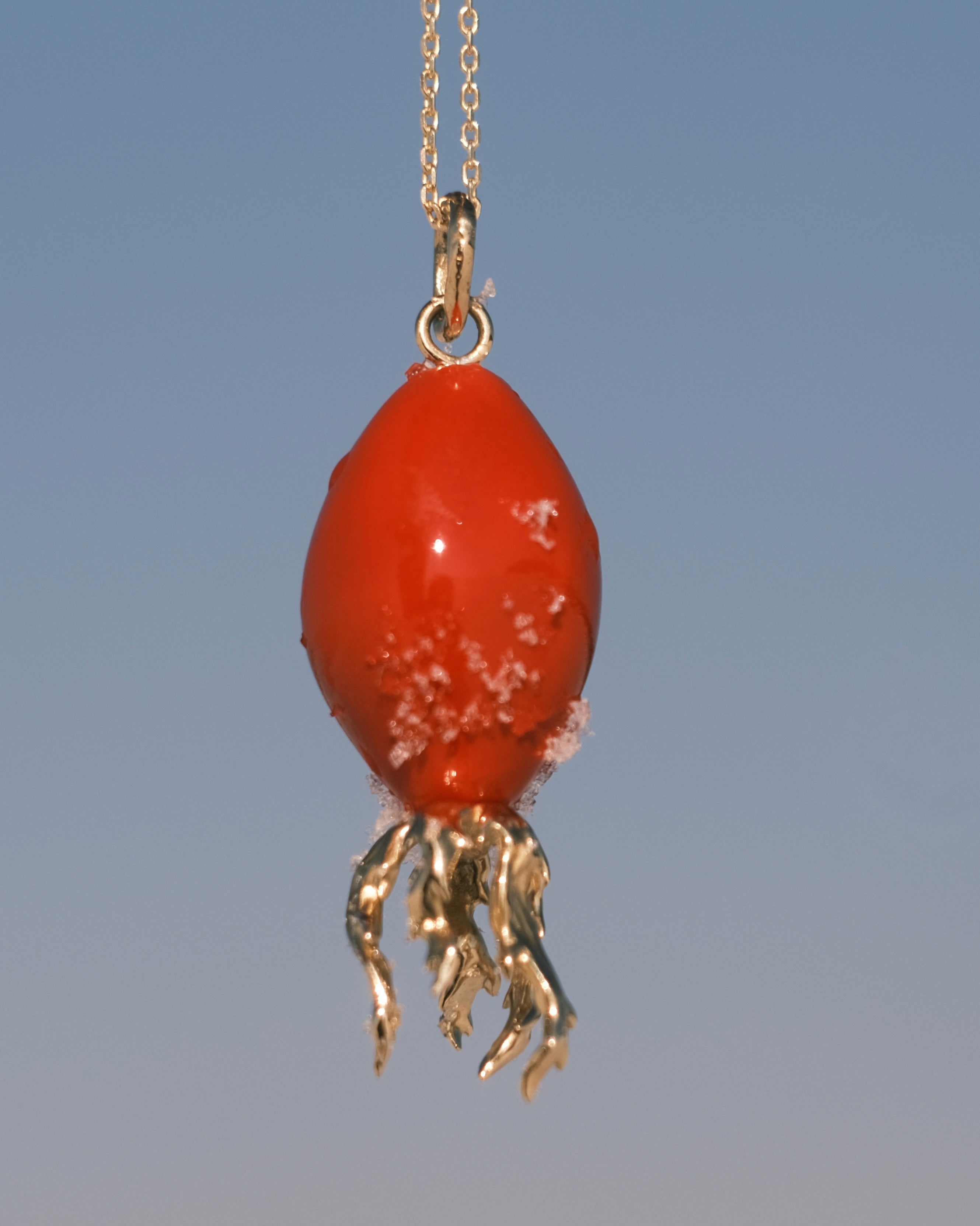 "Rosehip" pendant on a cord (brass)
