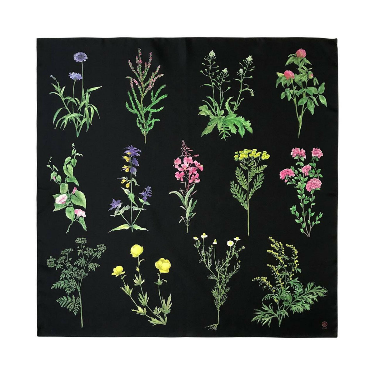 Silk scarf "Botany"