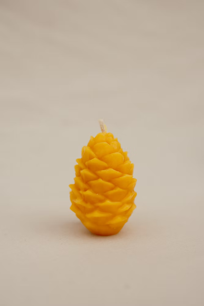 Pine cone Candle