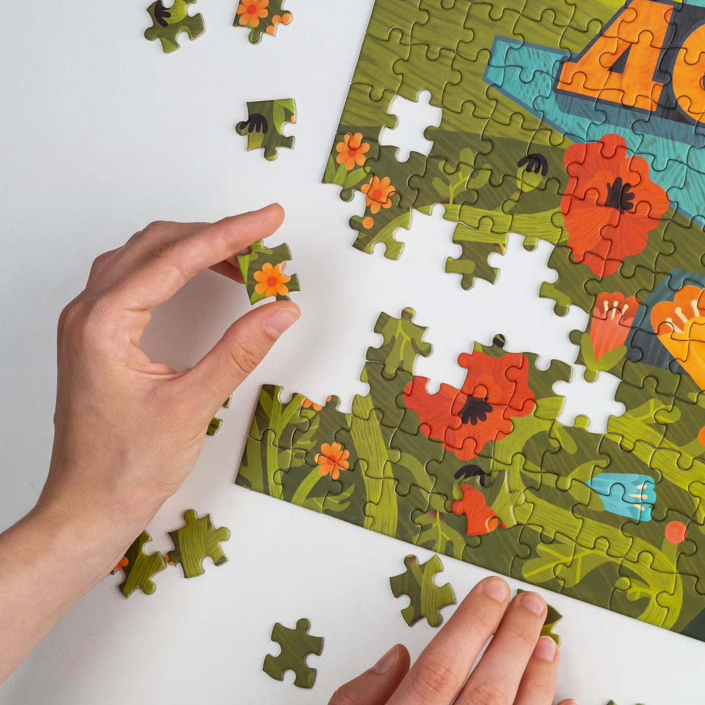 Puzzle Rubizh 529 pieces