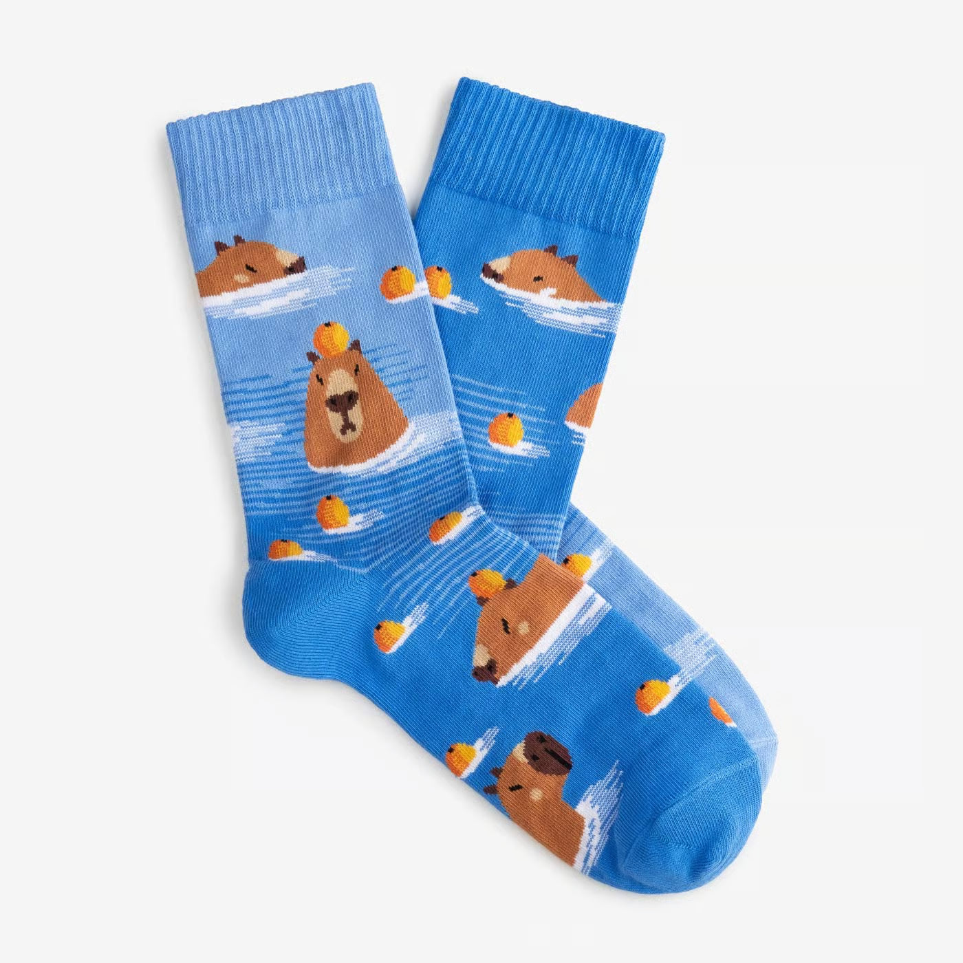 Capybara Socks