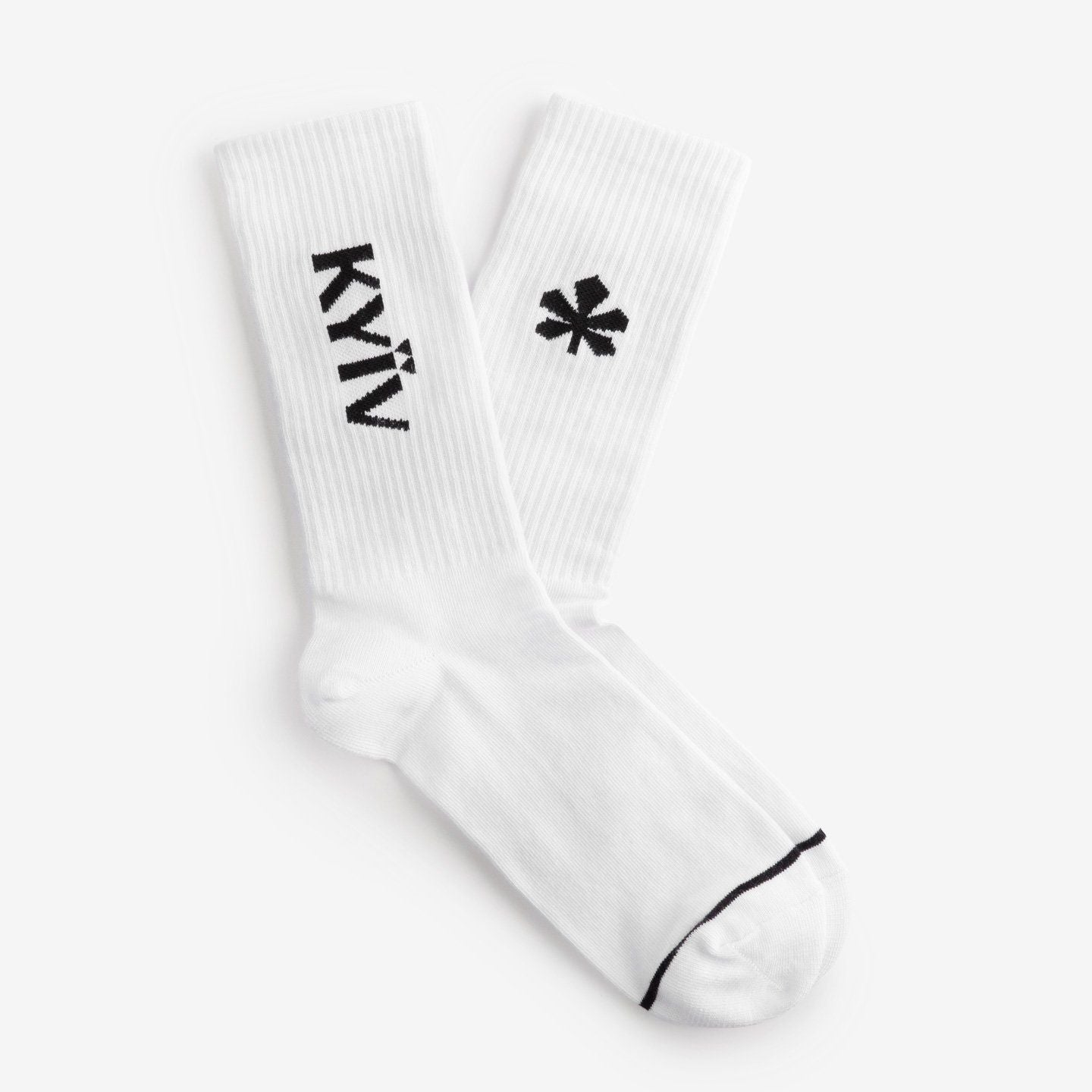 Socks "Kyiv Day"