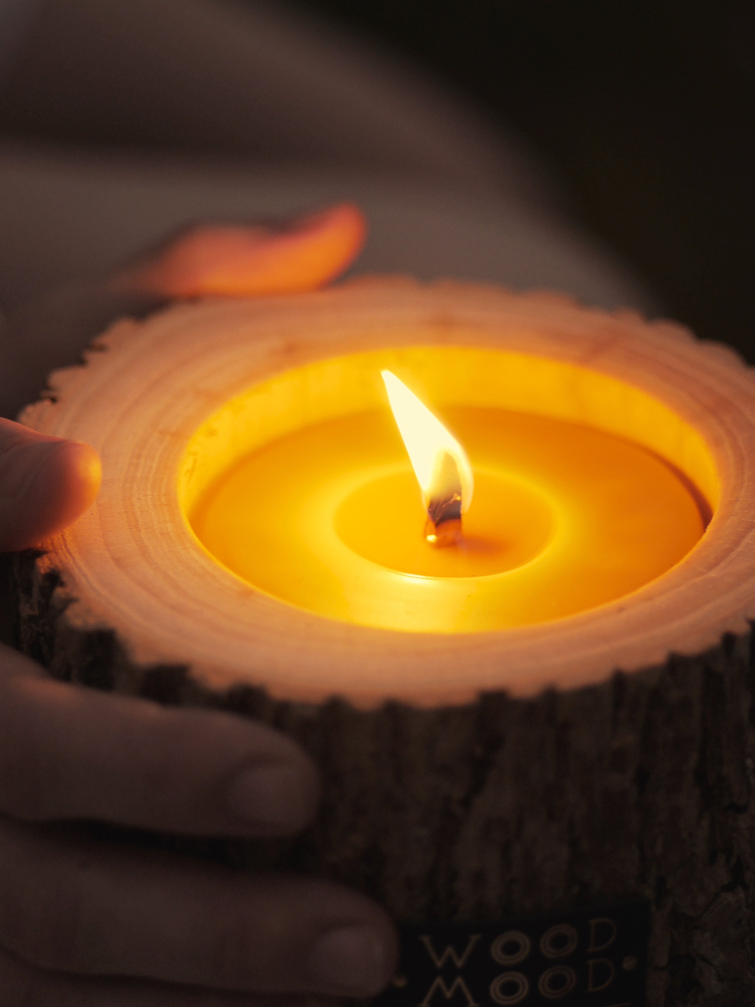 Rocky Concept 21 Coniferous