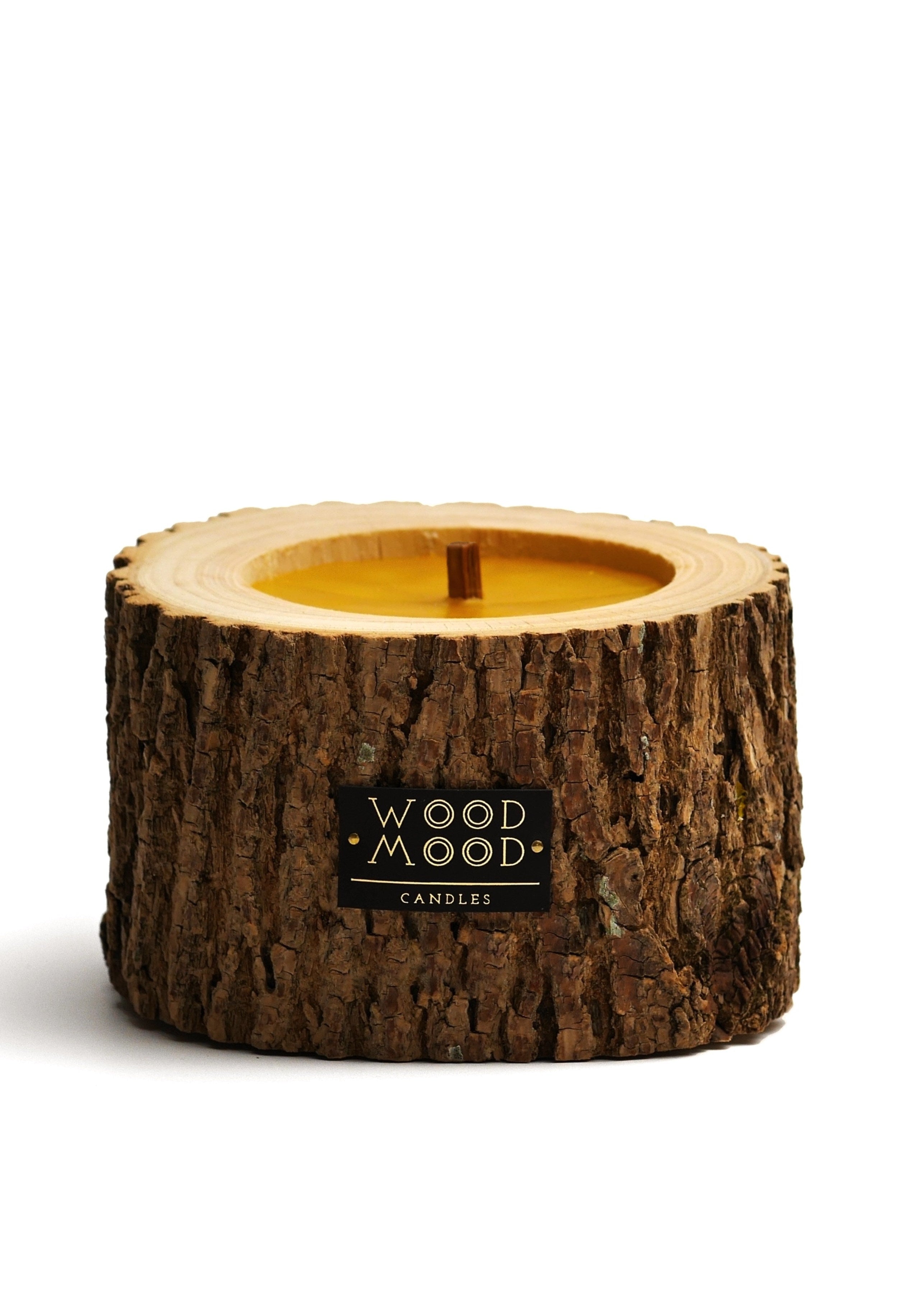 Rocky Patio Coniferous