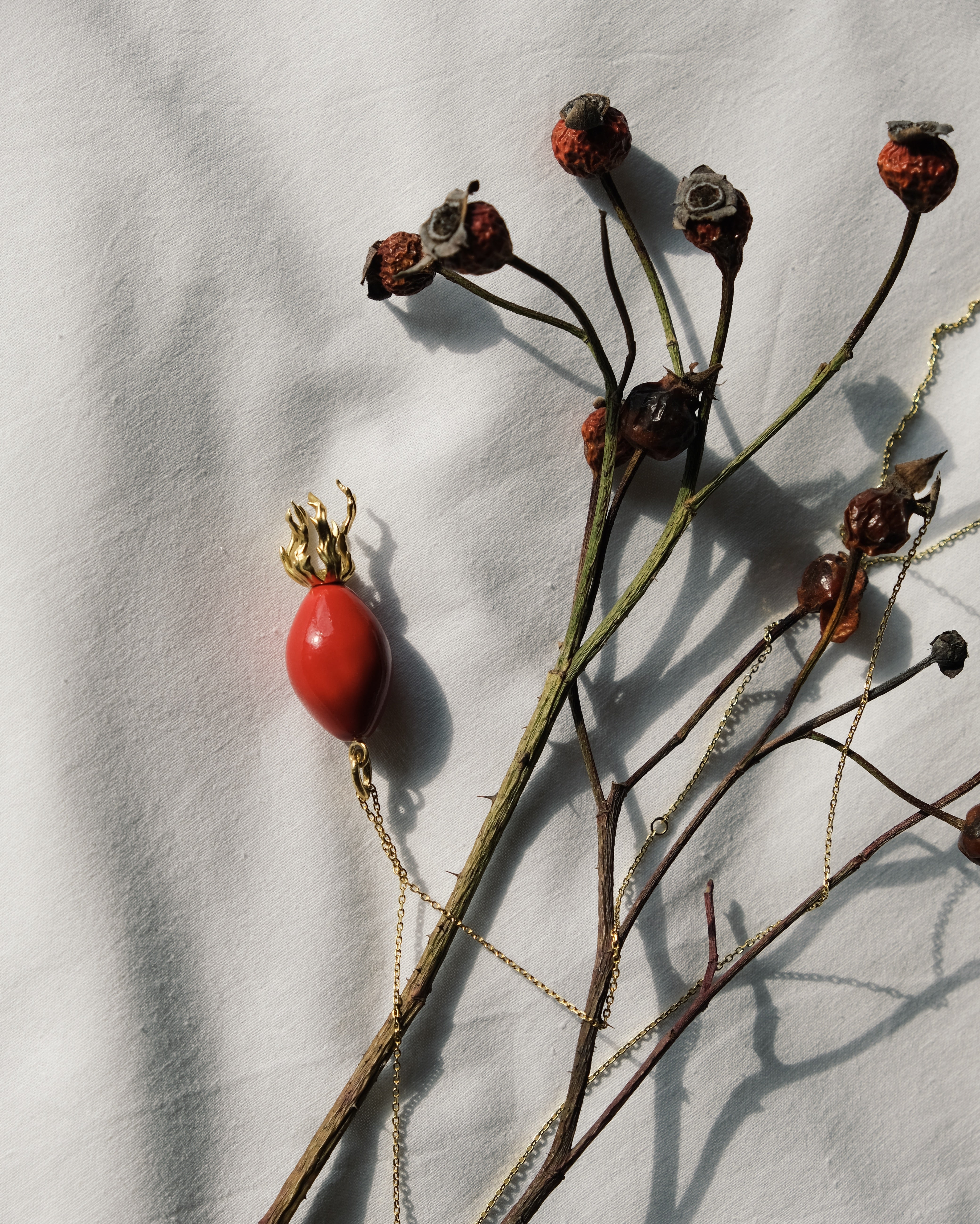 "Rosehip" pendant on a cord (brass)