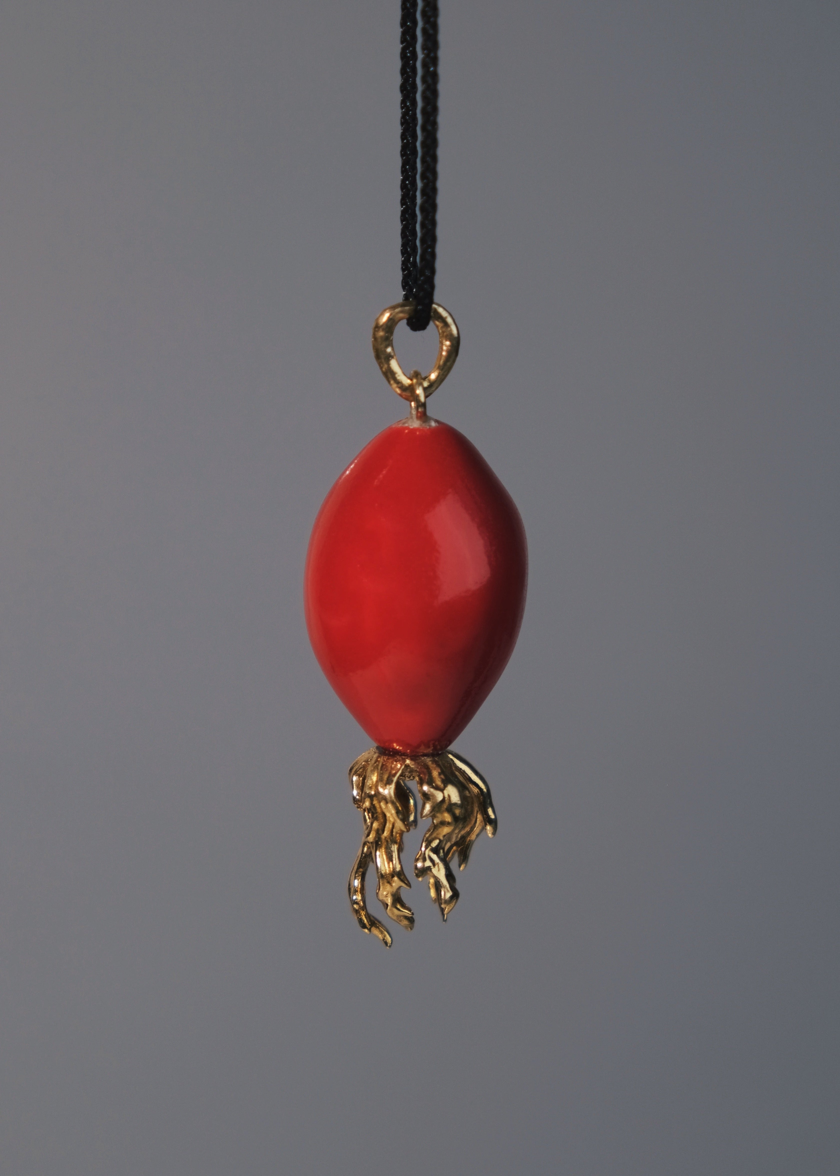 "Rosehip" pendant on a cord (brass)