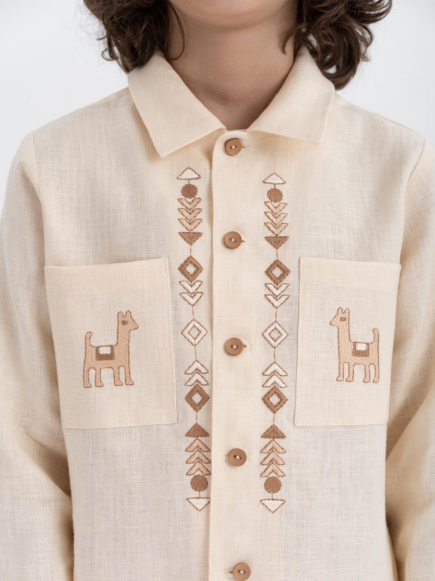 Children's embroidered shirt "Stepovyk"