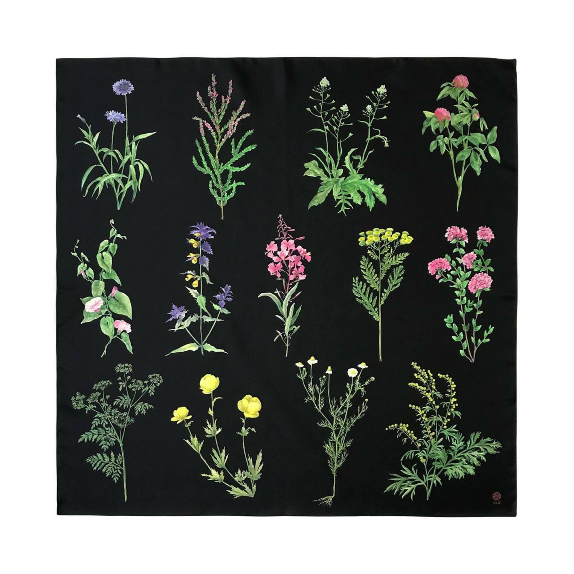 Silk scarf "Botany"