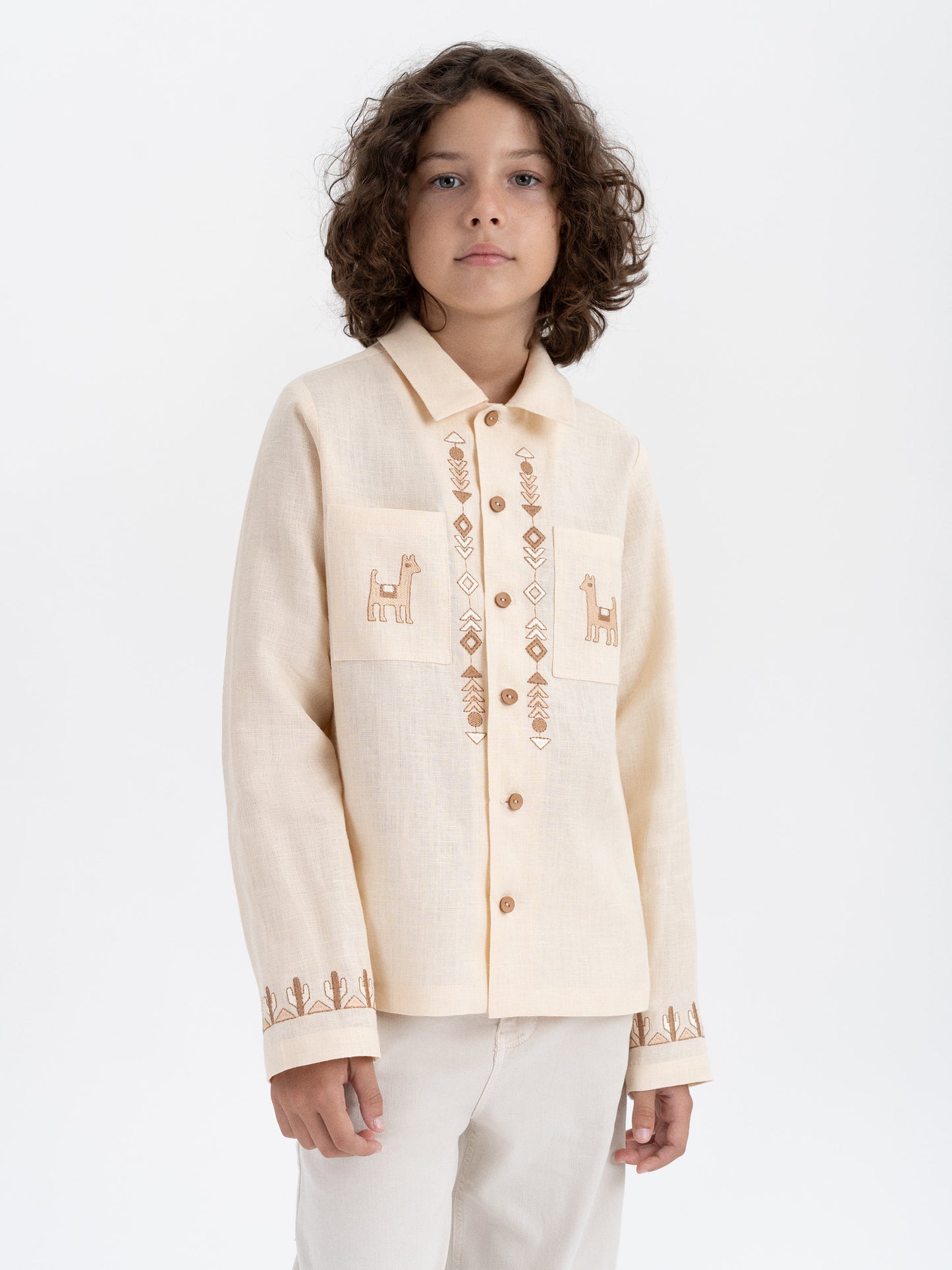 Children's embroidered shirt "Stepovyk"