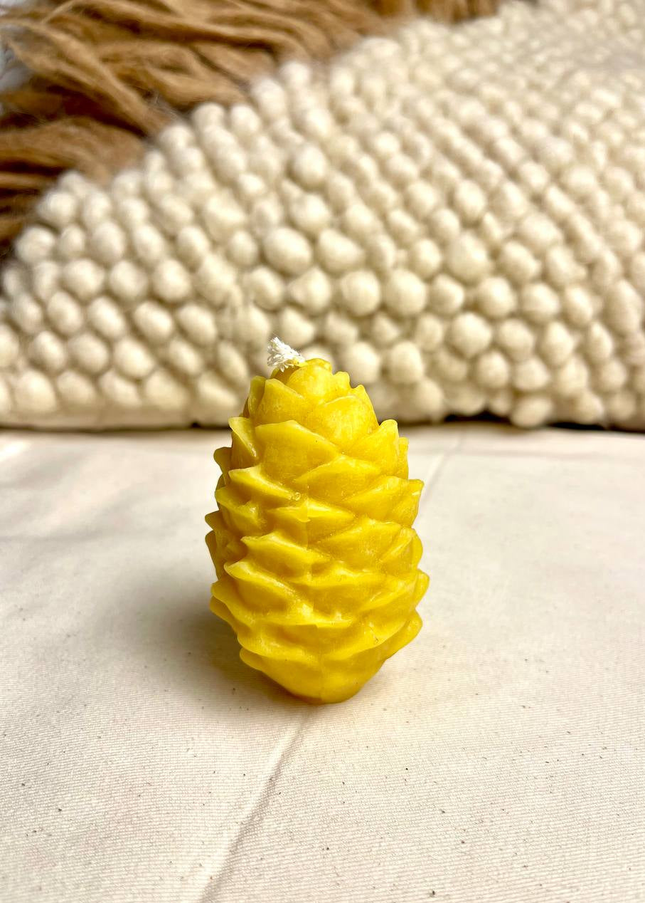 Pine cone Candle