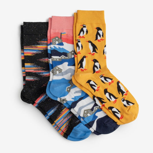 Socks "Vernadsky" set of 3