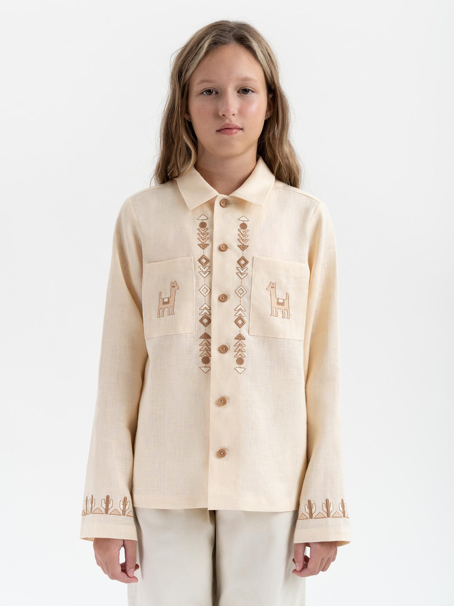 Children's embroidered shirt "Stepovyk"